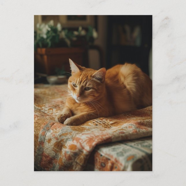 Postal Postcard Cute Ginger Kitty (Anverso)