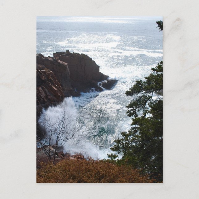 Postal Postcard de Acadia - 5 (Anverso)