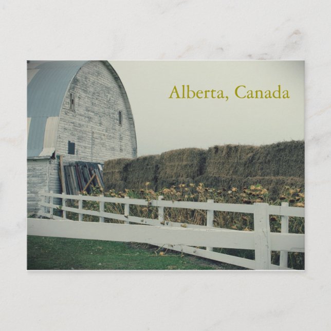 Postal Postcard de Alberta Rural (Anverso)