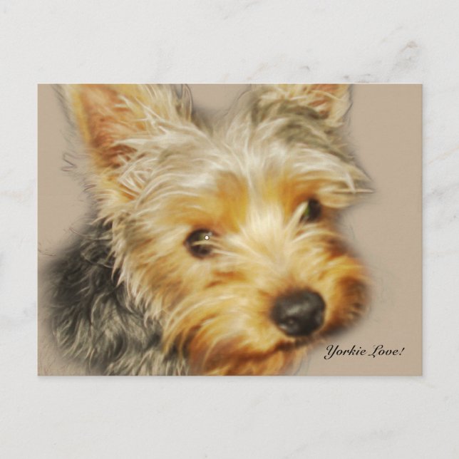 Postal Postcard de amor de Yorkie (Anverso)