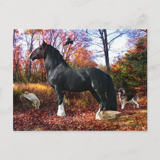 Postal Postcard de "Aquí viene el sol" (Anverso)