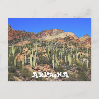 Postal Postcard de Arizona Saguaro Cactus