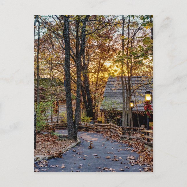 Postal Postcard de Autumn Woods Sunset Walkway (Anverso)