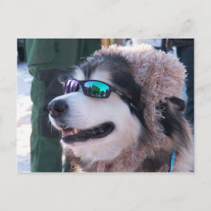 Postal Postcard de Banshee