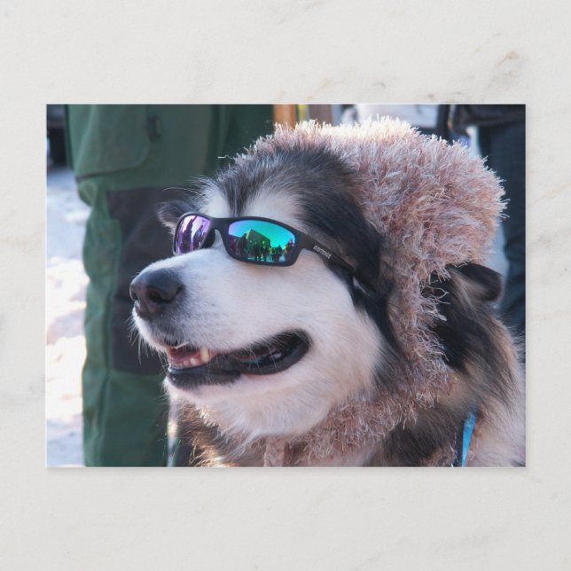 Postal Postcard de Banshee (Anverso)