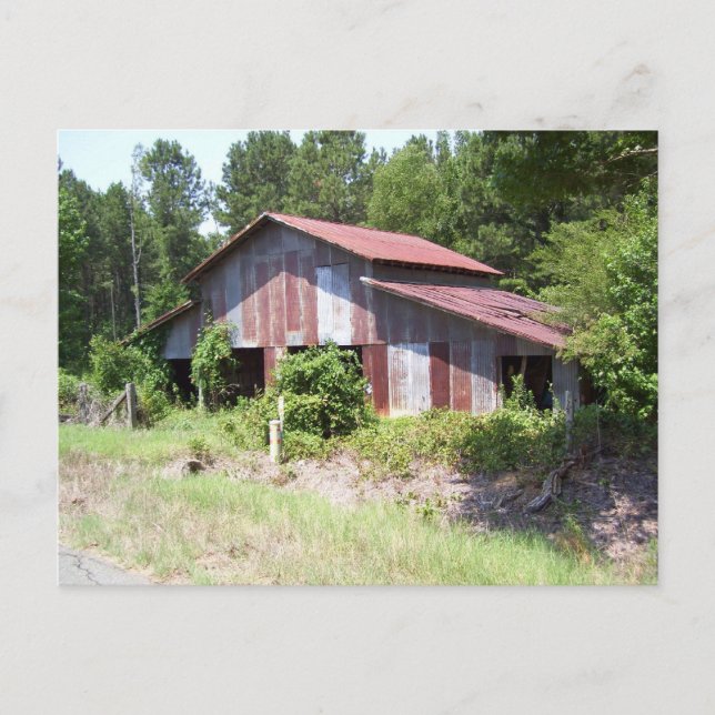 Postal Postcard de Barn Rugged (Anverso)