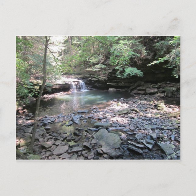 Postal Postcard de Beersheba Springs (Anverso)