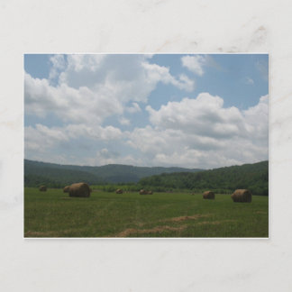 Postal Postcard de Beersheba Springs
