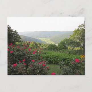 Postal Postcard de Beersheba Springs