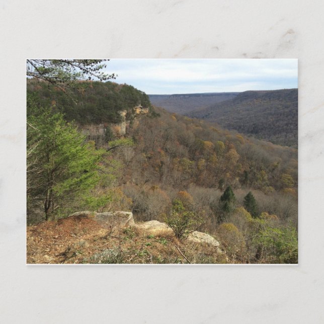 Postal Postcard de Beersheba Springs (Anverso)