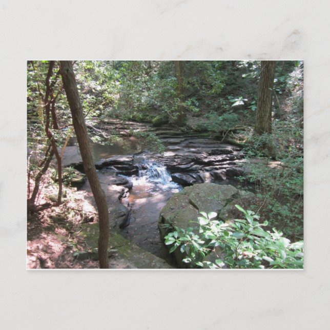 Postal Postcard de Beersheba Springs (Anverso)