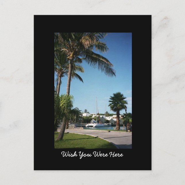 Postal Postcard de Bermuda (Anverso)
