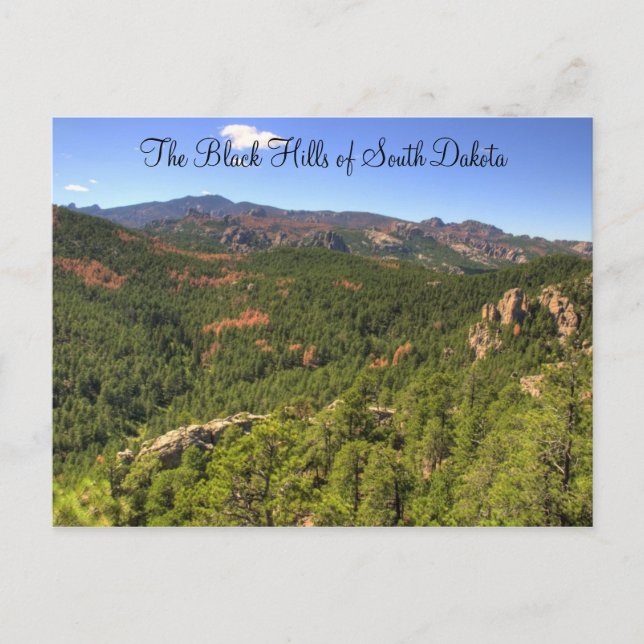 Postal Postcard de Black Hills Dakota del Sur (Anverso)