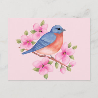 Postal Postcard de Bluebird