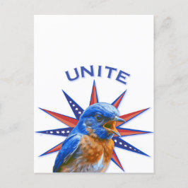 Postal Postcard de Bluebirds UNITE