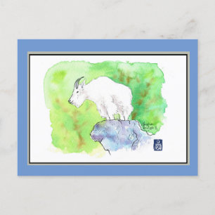 Postal Postcard de cabra de montaña