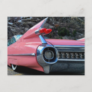 Postal Postcard de Caddy Fins