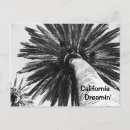 Postal Postcard de California Dreamin