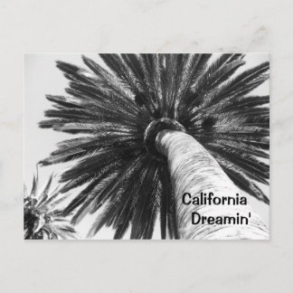 Postal Postcard de California Dreamin
