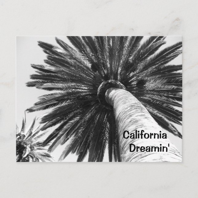 Postal Postcard de California Dreamin (Anverso)