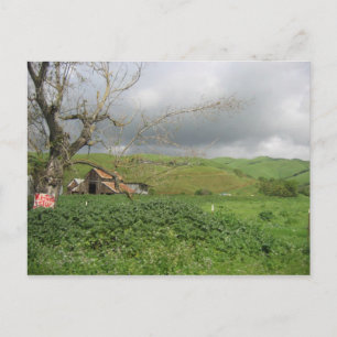 Postal Postcard de California - Gilroy, California