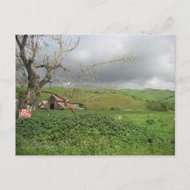 Postal Postcard de California - Gilroy, California (Anverso)