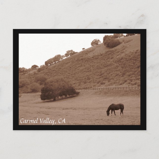 Postal Postcard de Carmel Valley (Anverso)