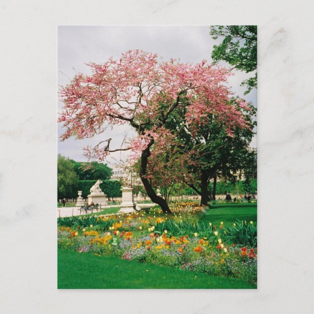 Postal Postcard de Carrousel Gardens (Anverso)