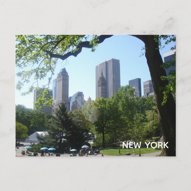Postal Postcard de Central Park (Anverso)