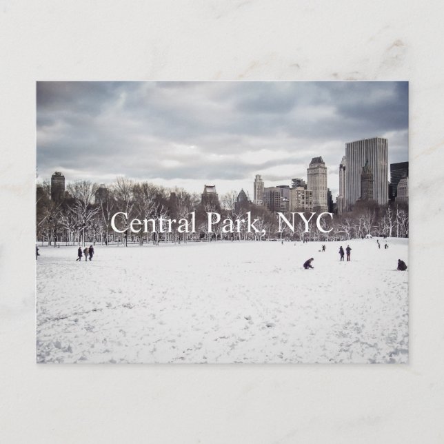 Postal Postcard de Central Park (Anverso)
