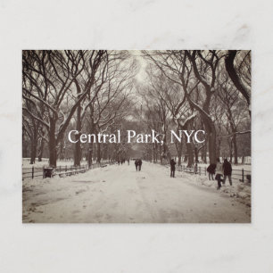 Postal Postcard de Central Park