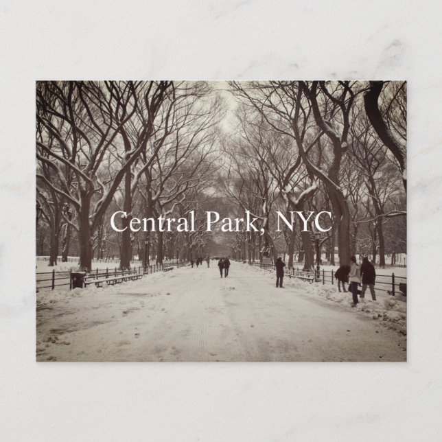 Postal Postcard de Central Park (Anverso)