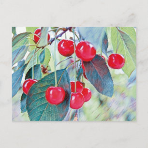 Postal Postcard de cerezas dulces