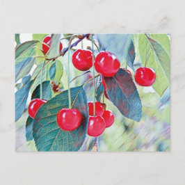 Postal Postcard de cerezas dulces