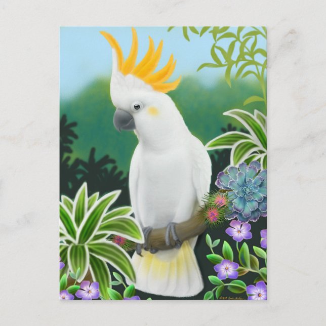 Postal Postcard de Citron Cockatoo (Anverso)