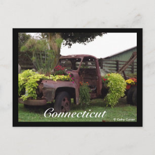 Postal Postcard de Connecticut