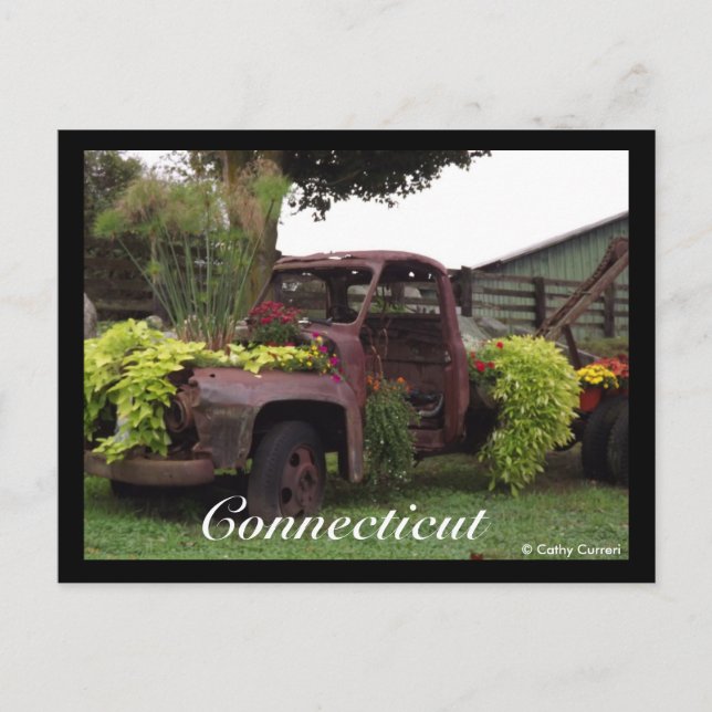 Postal Postcard de Connecticut (Anverso)