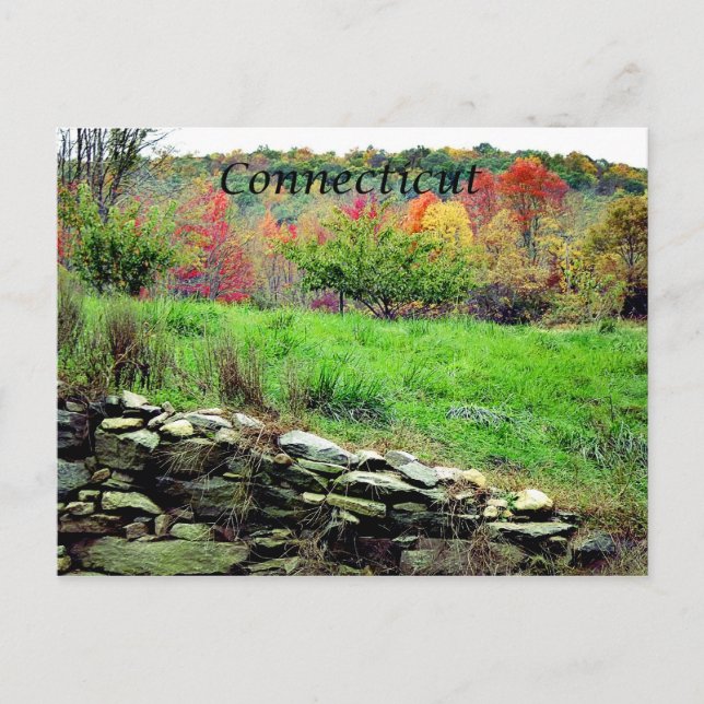 Postal Postcard de Connecticut (Anverso)