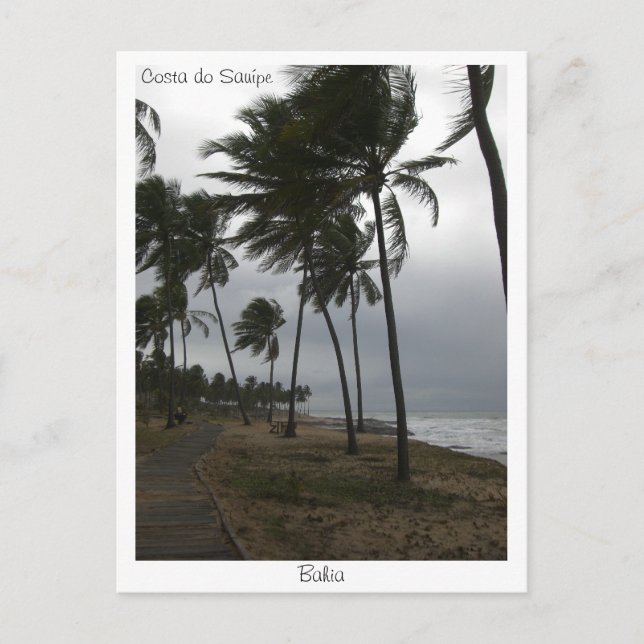 Postal Postcard de Costa do Sauípe (Anverso)