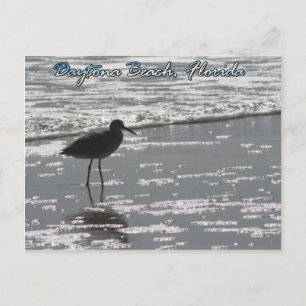 Postal Postcard de Daytona Beach