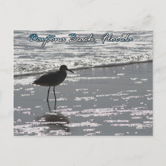 Postal Postcard de Daytona Beach (Anverso)