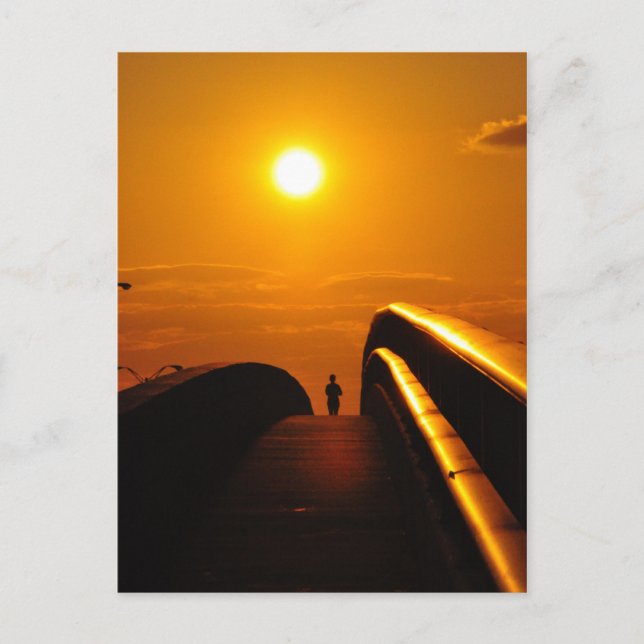 Postal Postcard de Daytona del puente delgado del atardec (Anverso)