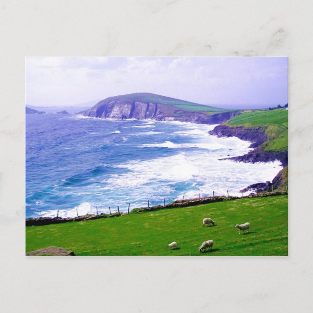 Postal Postcard de Dingle Ireland (Anverso)