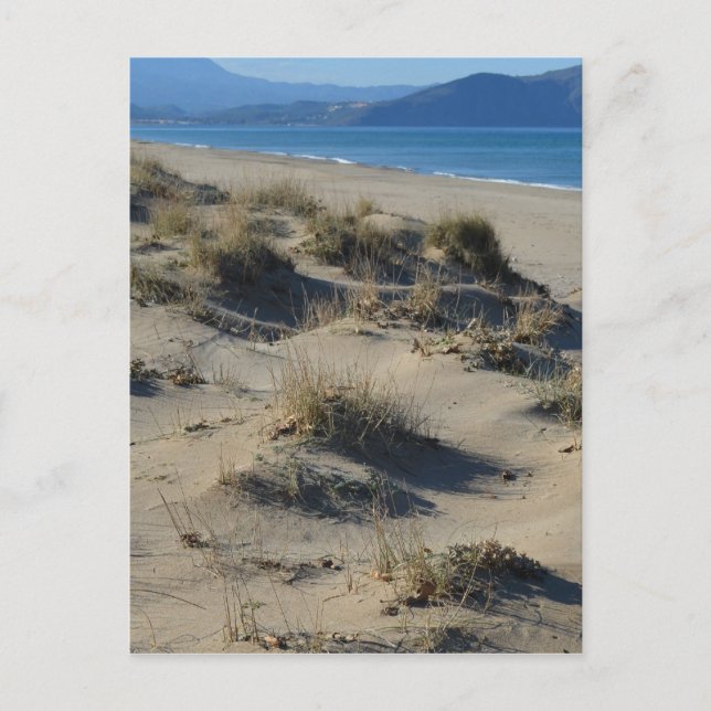 Postal Postcard de dunas de arena (Anverso)