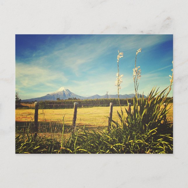 Postal Postcard de Egmont Village (Anverso)