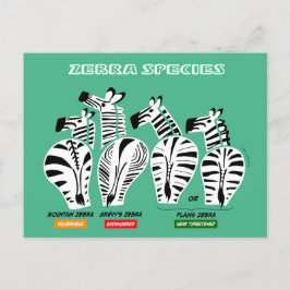 Postal Postcard de especies cebra