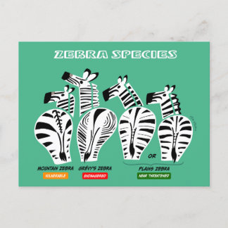 Postal Postcard de especies cebra