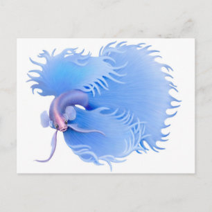 Postal Postcard de Flaring Betta Splendens