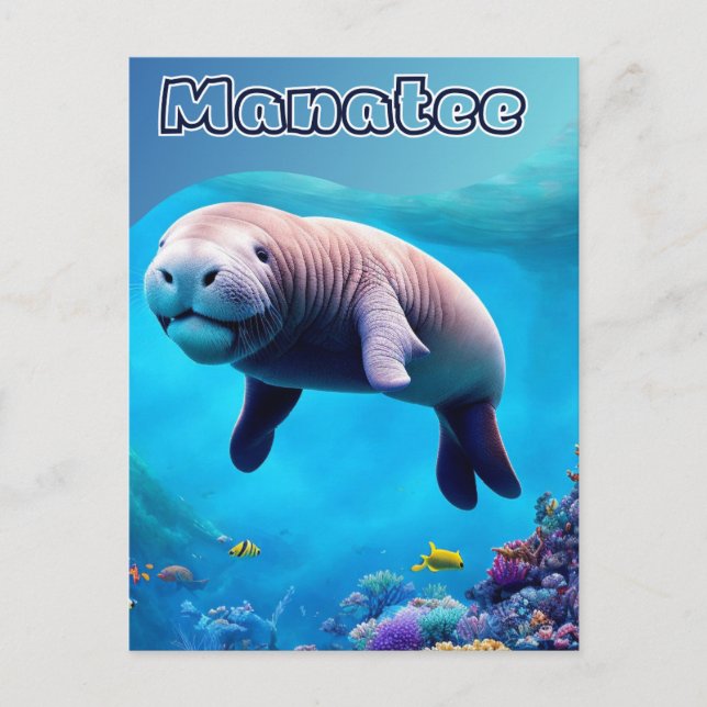 Postal Postcard de Florida, Cute Manatee en el océano pro (Anverso)