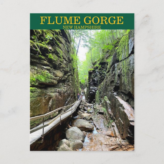 Postal Postcard de Flume Gorge NH (Anverso)